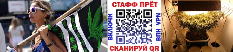 Где найти наркотики Славск Псилоцибиновые грибы COCAIN ТГК Конопля Alpha-PVP Гашиш