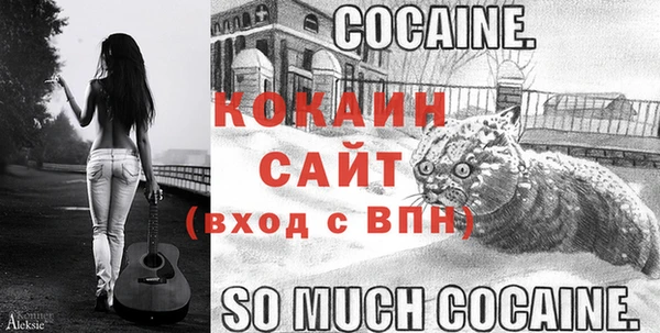винт Алексин