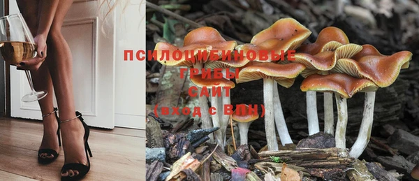 винт Алексин