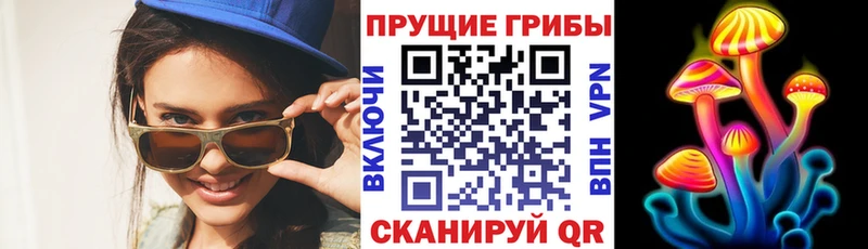 Псилоцибиновые грибы Psilocybine cubensis  как найти закладки  Славск 